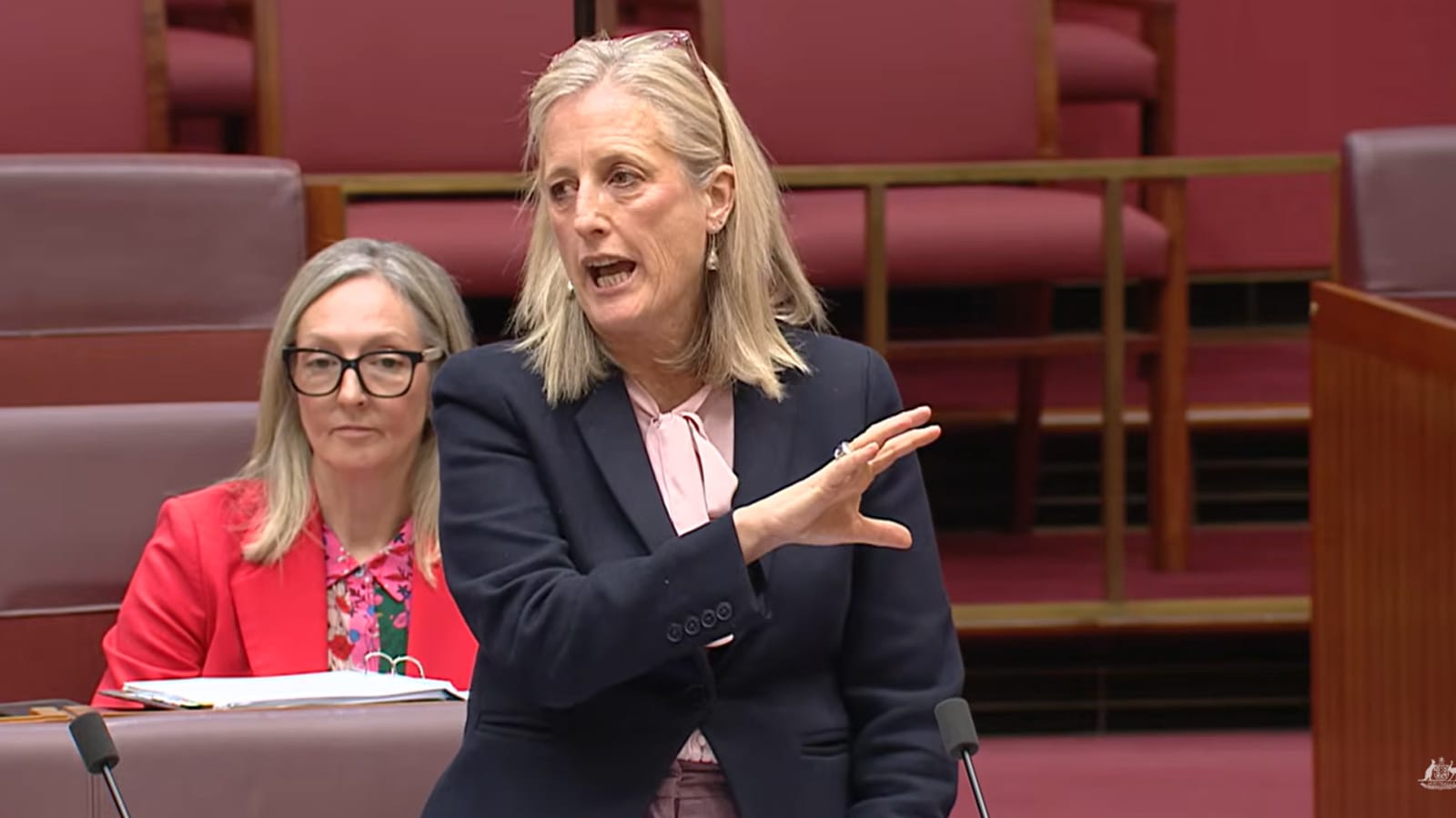 Katy Gallagher addressing the Senate during the suspension of standing orders debate
