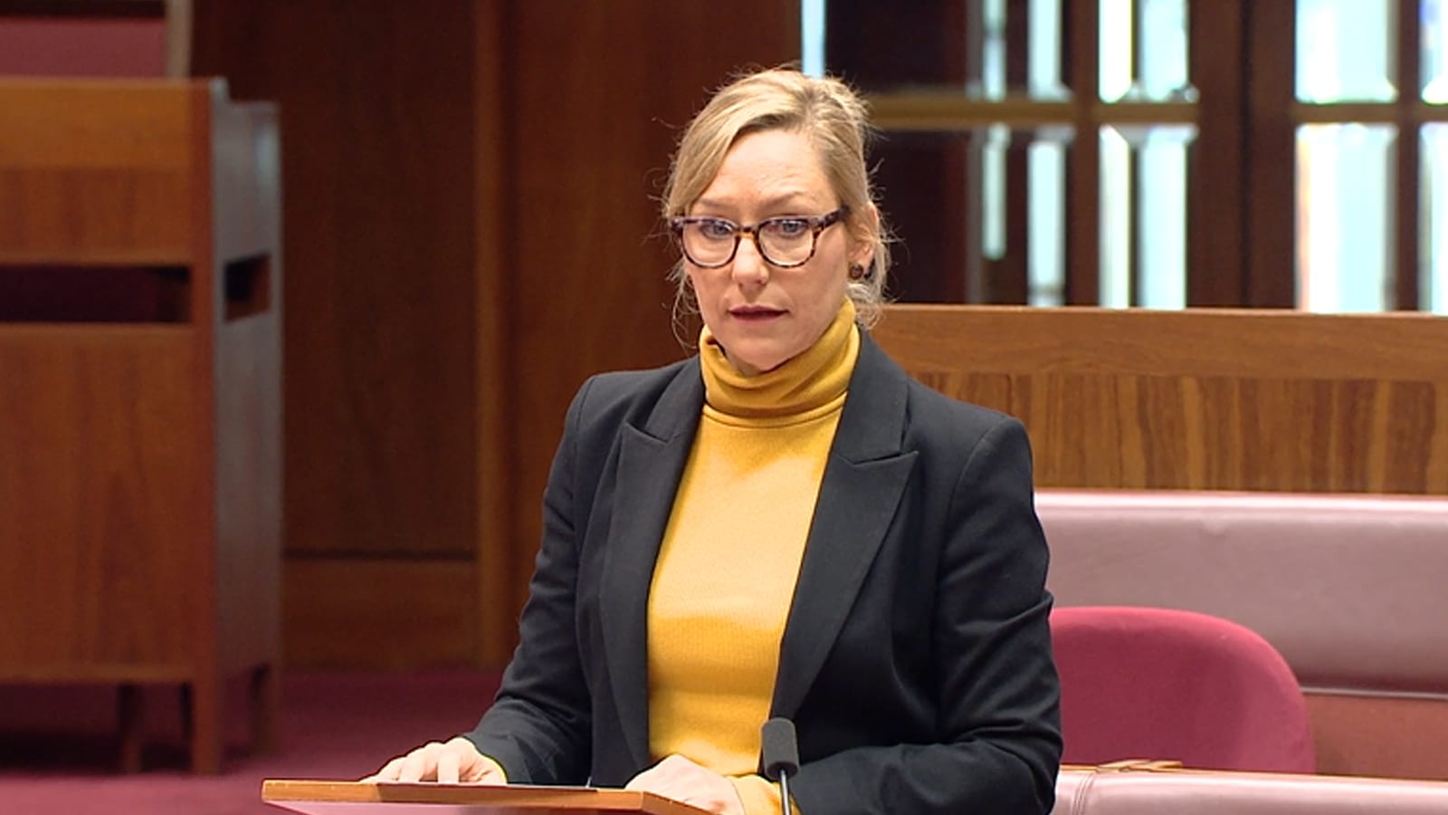 Larissa Waters speaking during proceedings in the Senate chamber