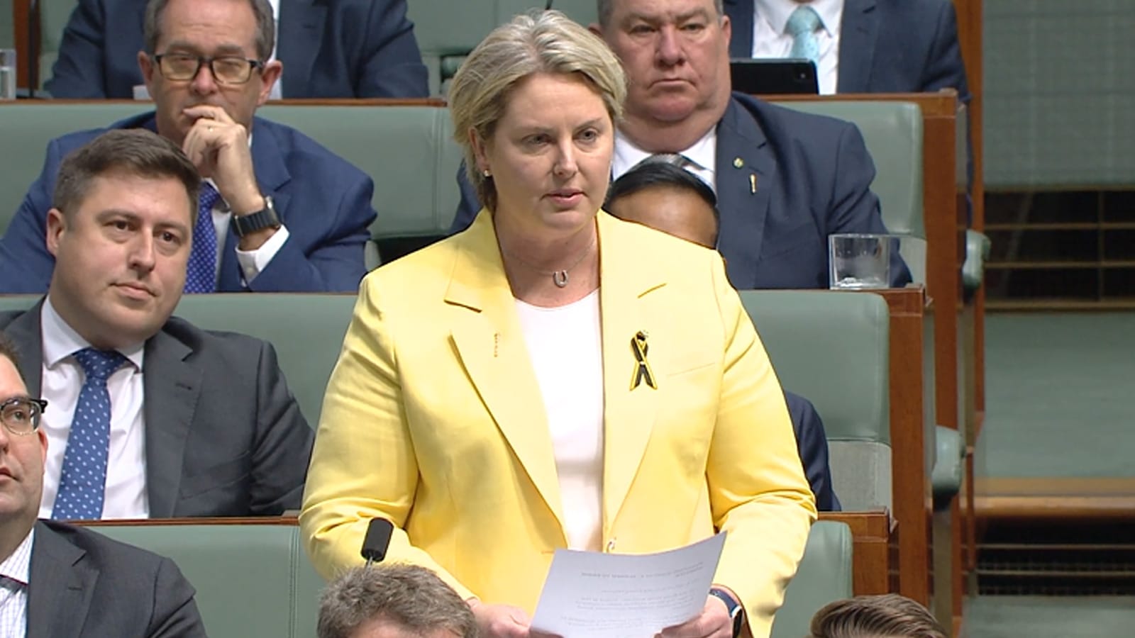 Mary Aldred standing in the House of Representatives reading from a page