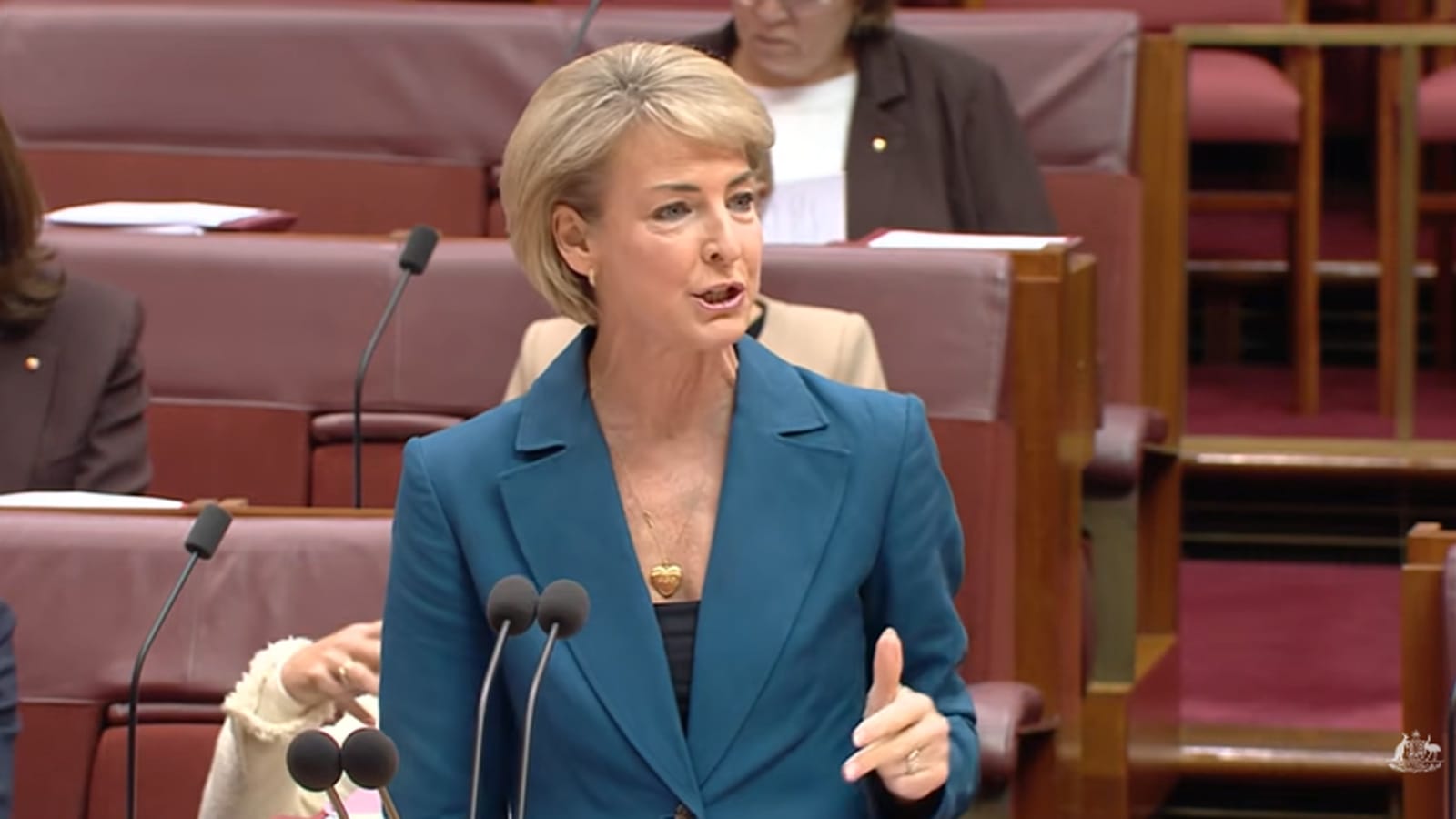 Michaelia Cash speaking in the Senate chamber during the widow tax debate