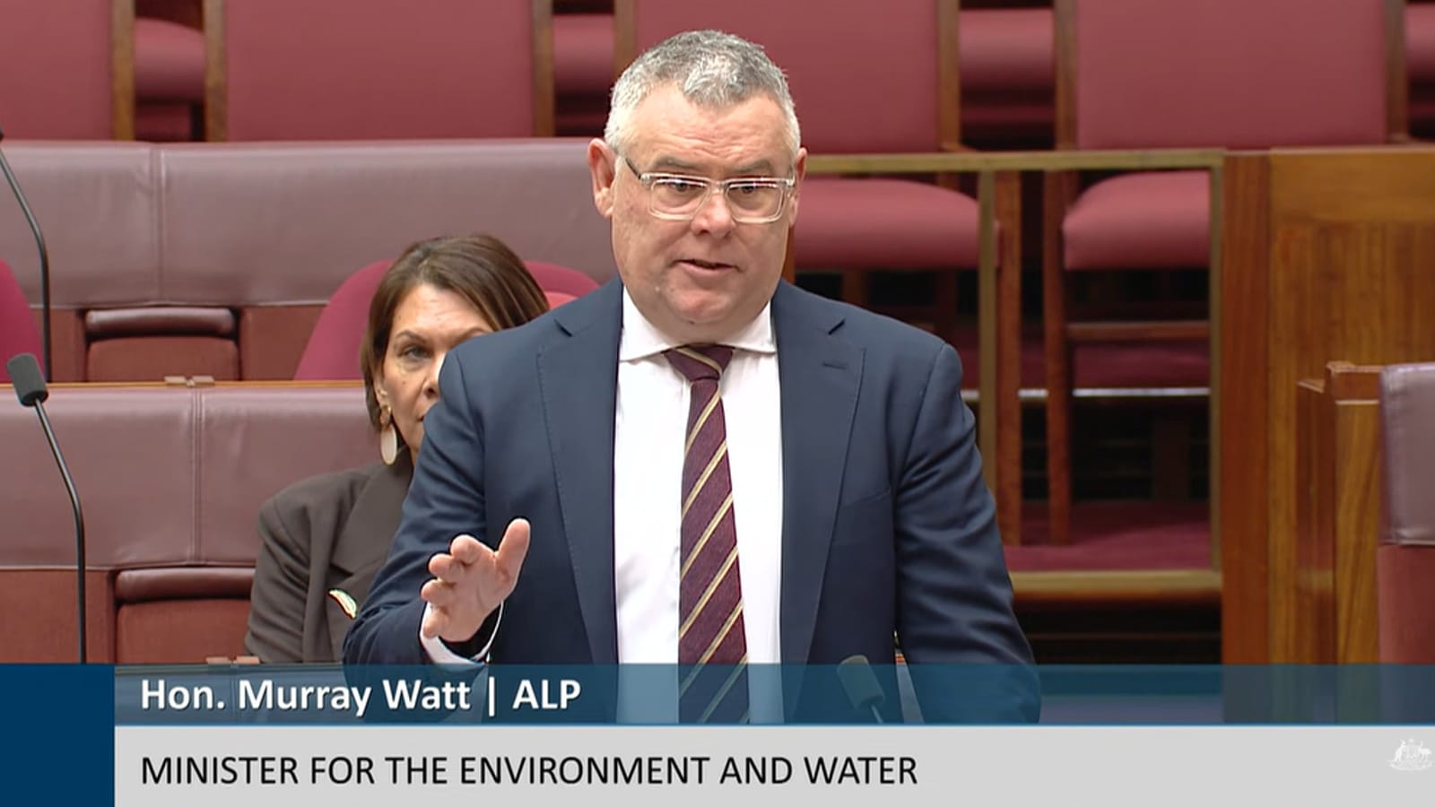 Murray Watt speaking in the Senate with one hand raised