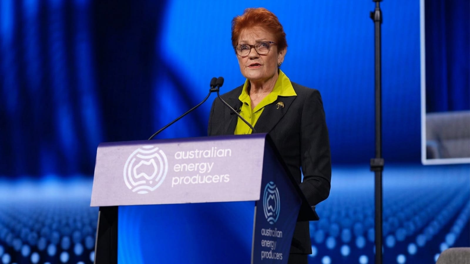 Pauline Hanson speaking at a lectern at an energy industry conference
