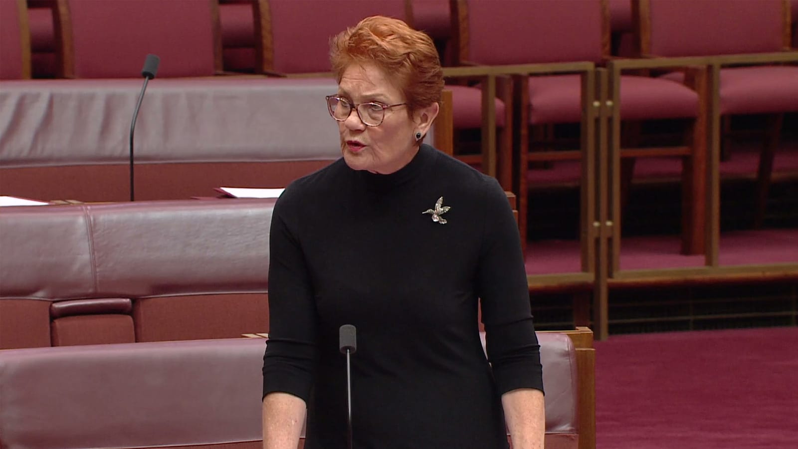 Pauline Hanson speaking about the NDIS in the Senate chamber