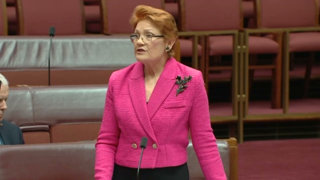 Pauline Hanson speaking in the Senate chamber in a pink jacket