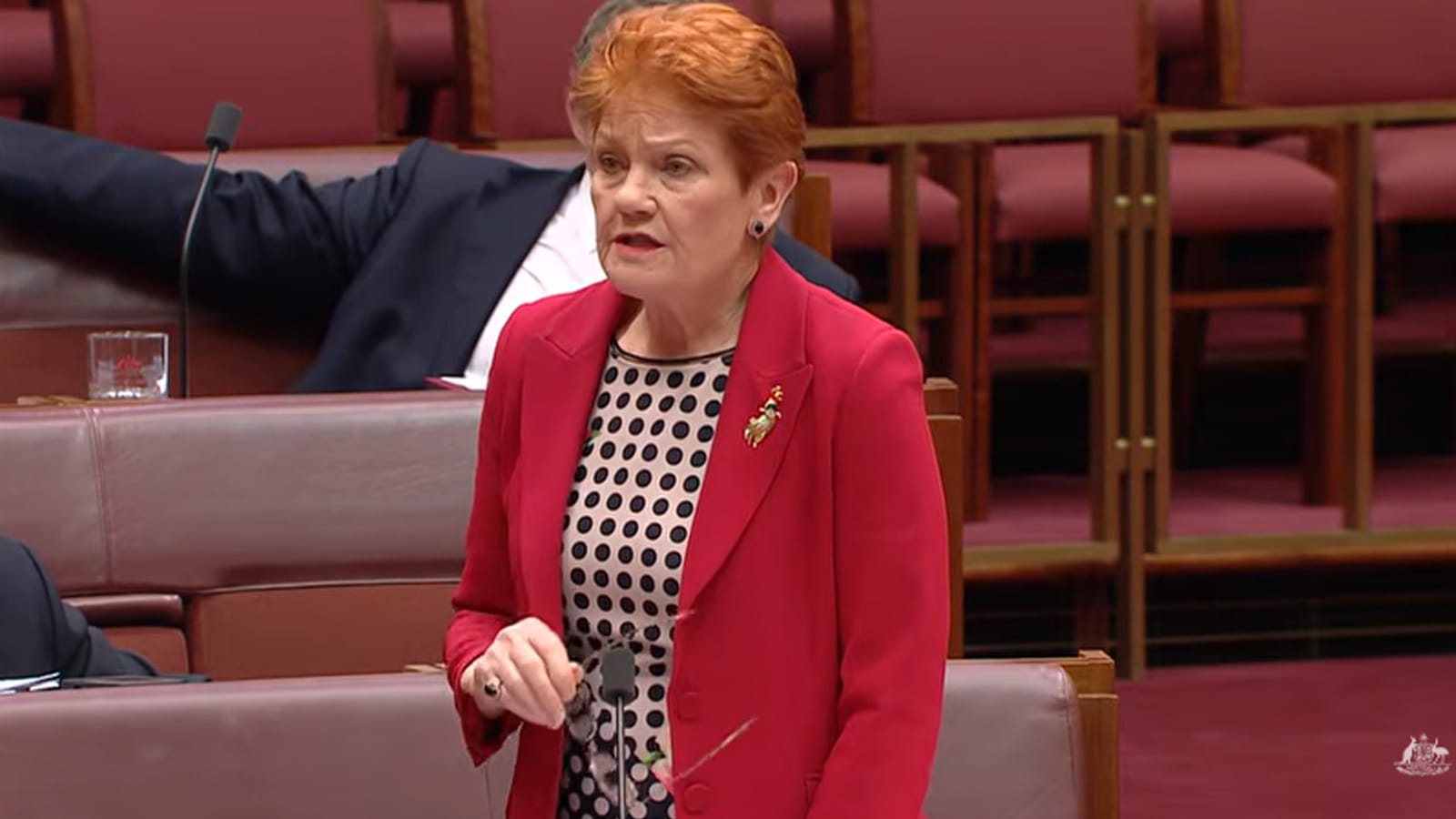 Pauline Hanson speaking in the Senate chamber during the suspension debate
