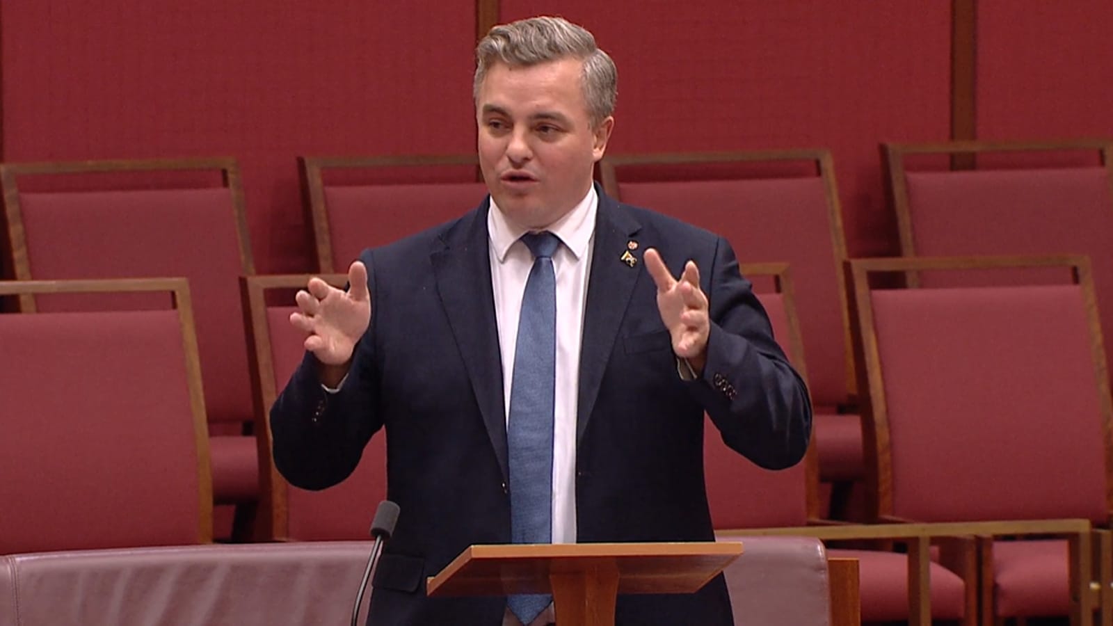 One Nation senator Sean Bell speaking in the Senate chamber