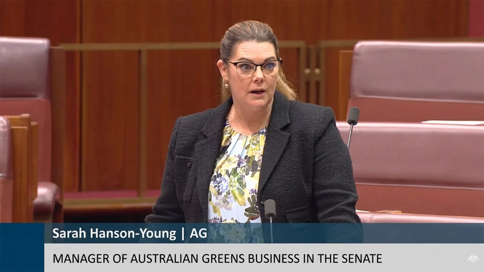 Greens senator Sarah Hanson-Young speaking in the Senate chamber