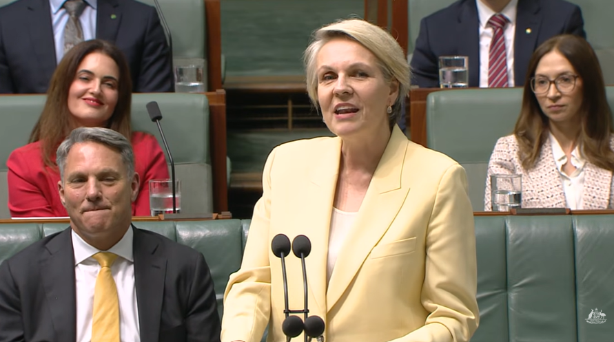 Tanya Plibersek speaking in the House of Representatives with colleagues seated behind
