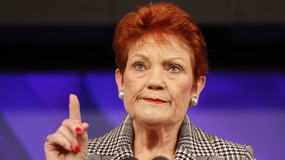 Pauline Hanson's repeated security warnings ignored as the targeting campaign now escalates