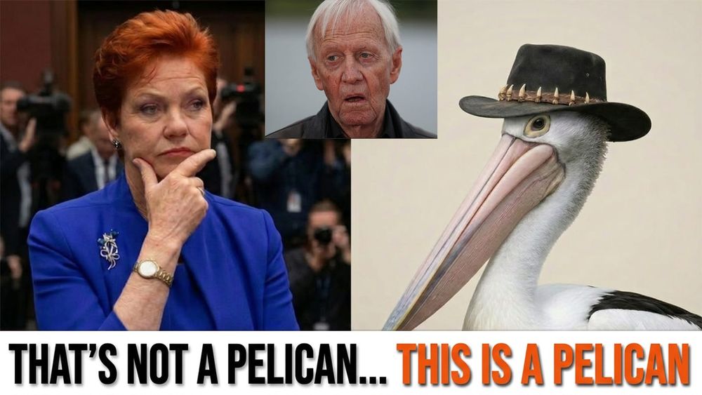 Pauline Hanson is not the pelican. Paul Hogan, fleeced by his own banker, is the real one
