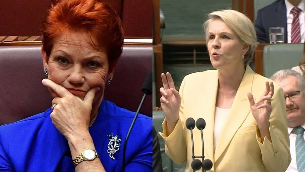 No, Pauline Hanson is not scrapping Government paid parental leave, and here is what she actually said