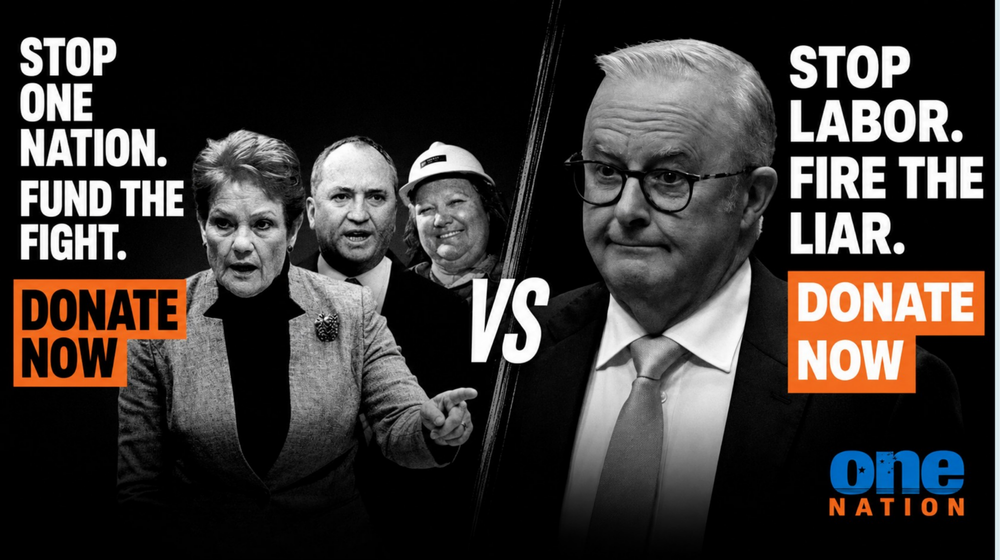 Labor asked for $27 to stop One Nation. Hanson's Fire the Liar reply is nearing $1 million