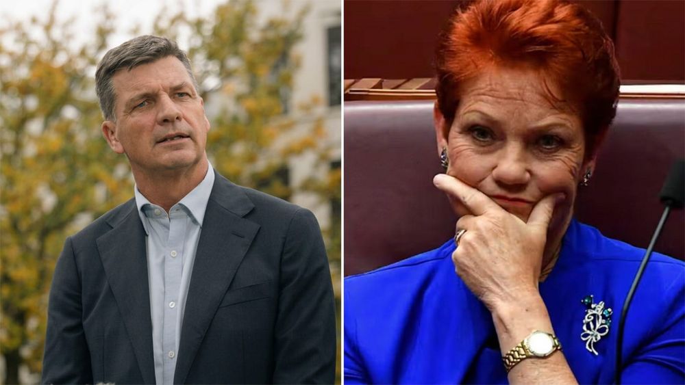 Angus Taylor attacks the party he keeps copying, as One Nation buries them in every state