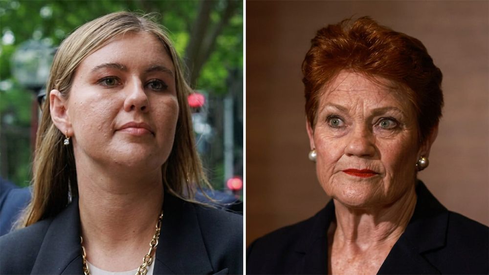 The left-wing media lied about Pauline Hanson on domestic violence. Here is what they cut