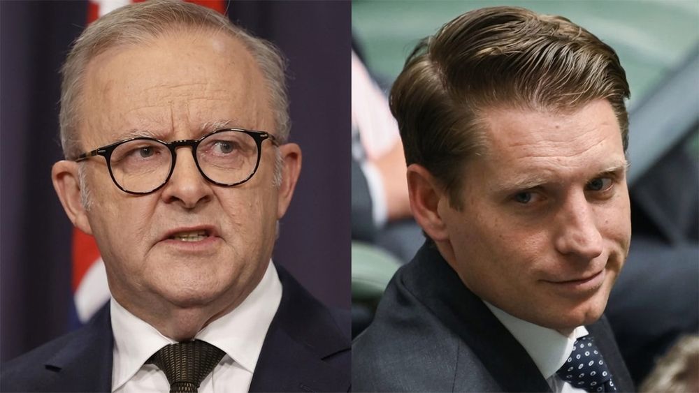 Anthony Albanese cheers Andrew Hastie's war on One Nation, the endorsement no real Liberal wants