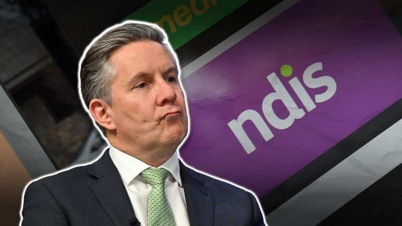 Labor blocked Pauline Hanson's fraud inquiry, now it's rejected a watchdog over its NDIS cuts