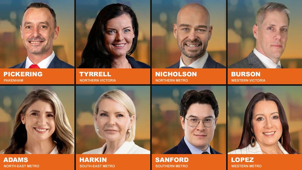 Meet One Nation's Victorian team: a sitting MP, combat engineer, police negotiator and the man who animates Pauline Hanson
