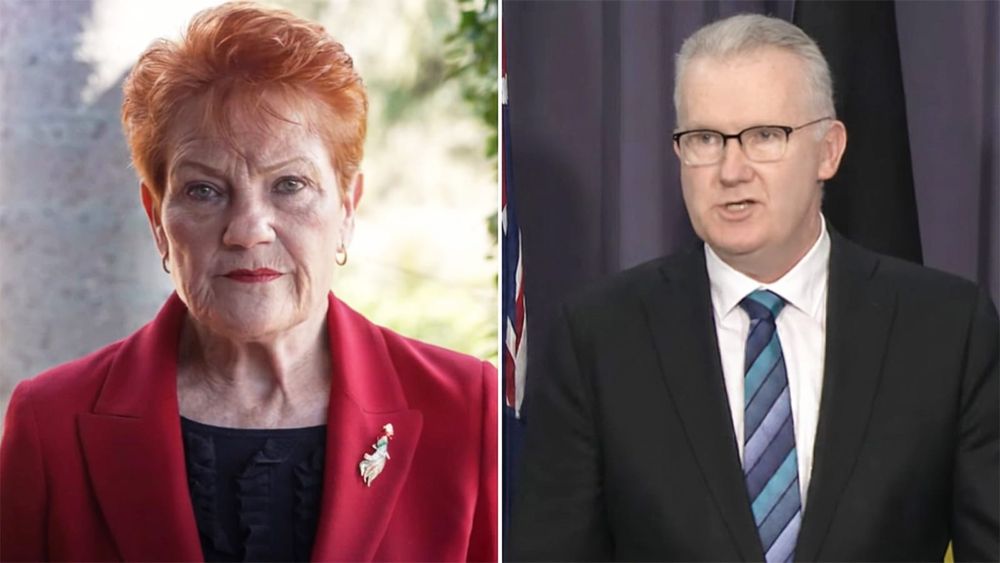 Pauline Hanson has a plan, Tony Burke has 1.2 million arrivals by 2030 and a pulled speech