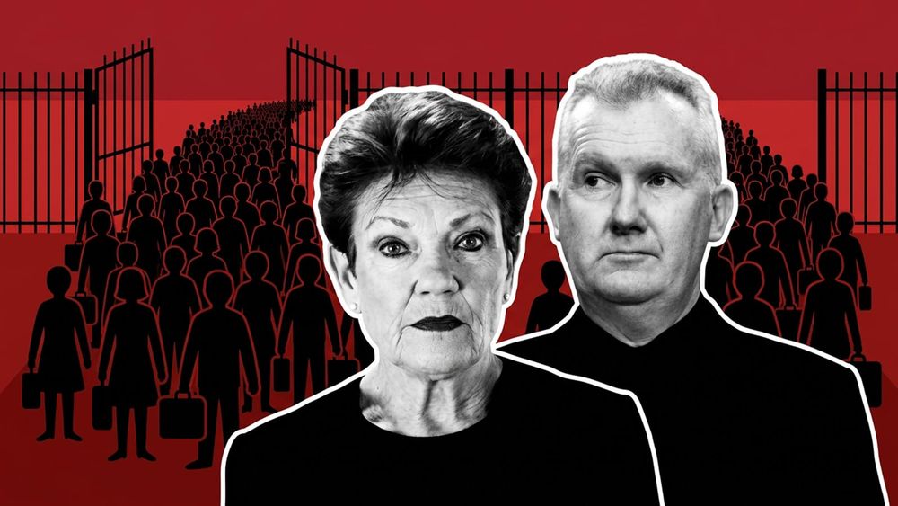 Pauline Hanson accuses Labor of hiding a million migrants plan and the forecasts back her up