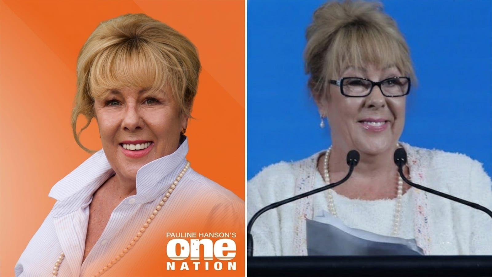 Teena McQueen, the former Liberal vice president who had just joined One Nation, dies after illness