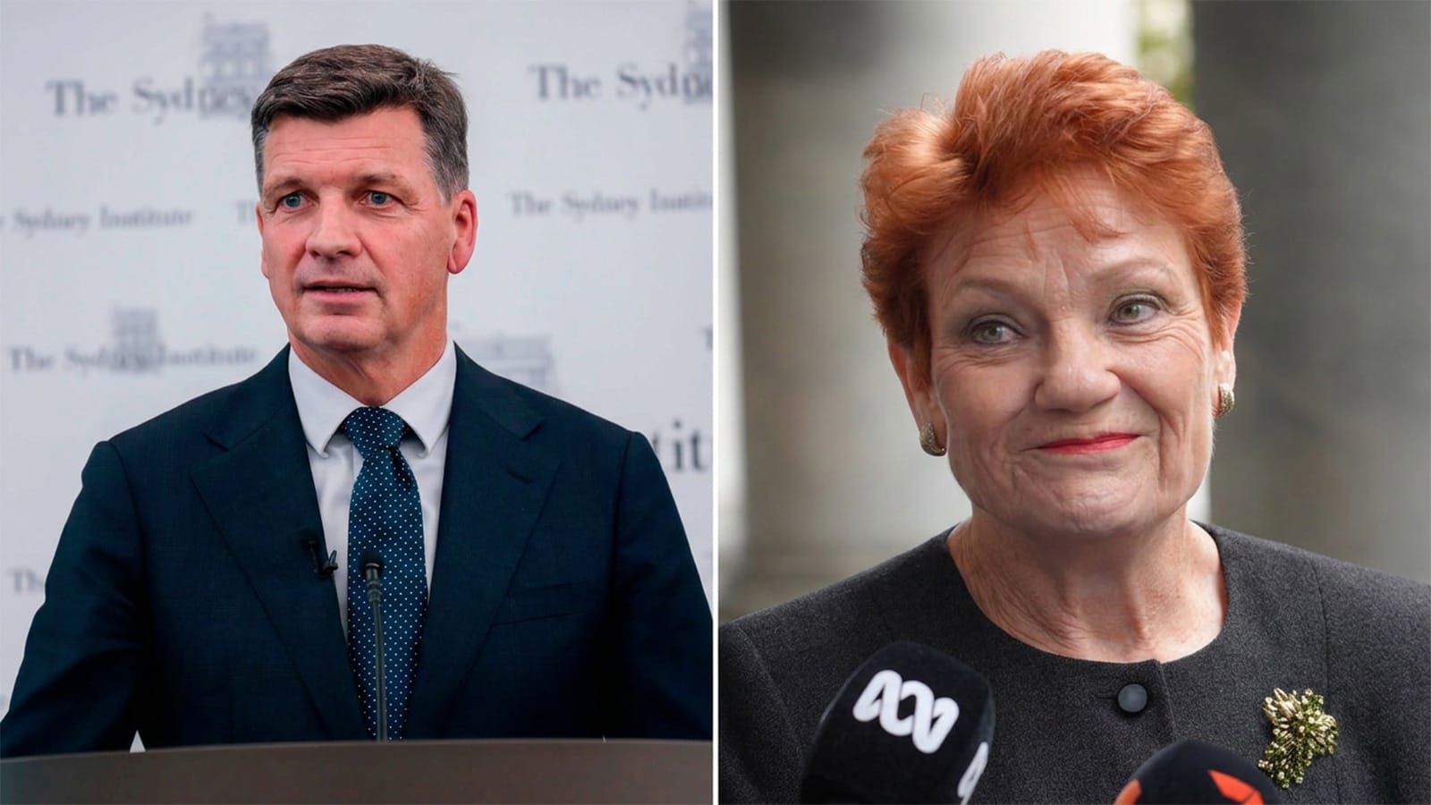 Angus Taylor attacks the party he keeps copying, as One Nation buries them in every state