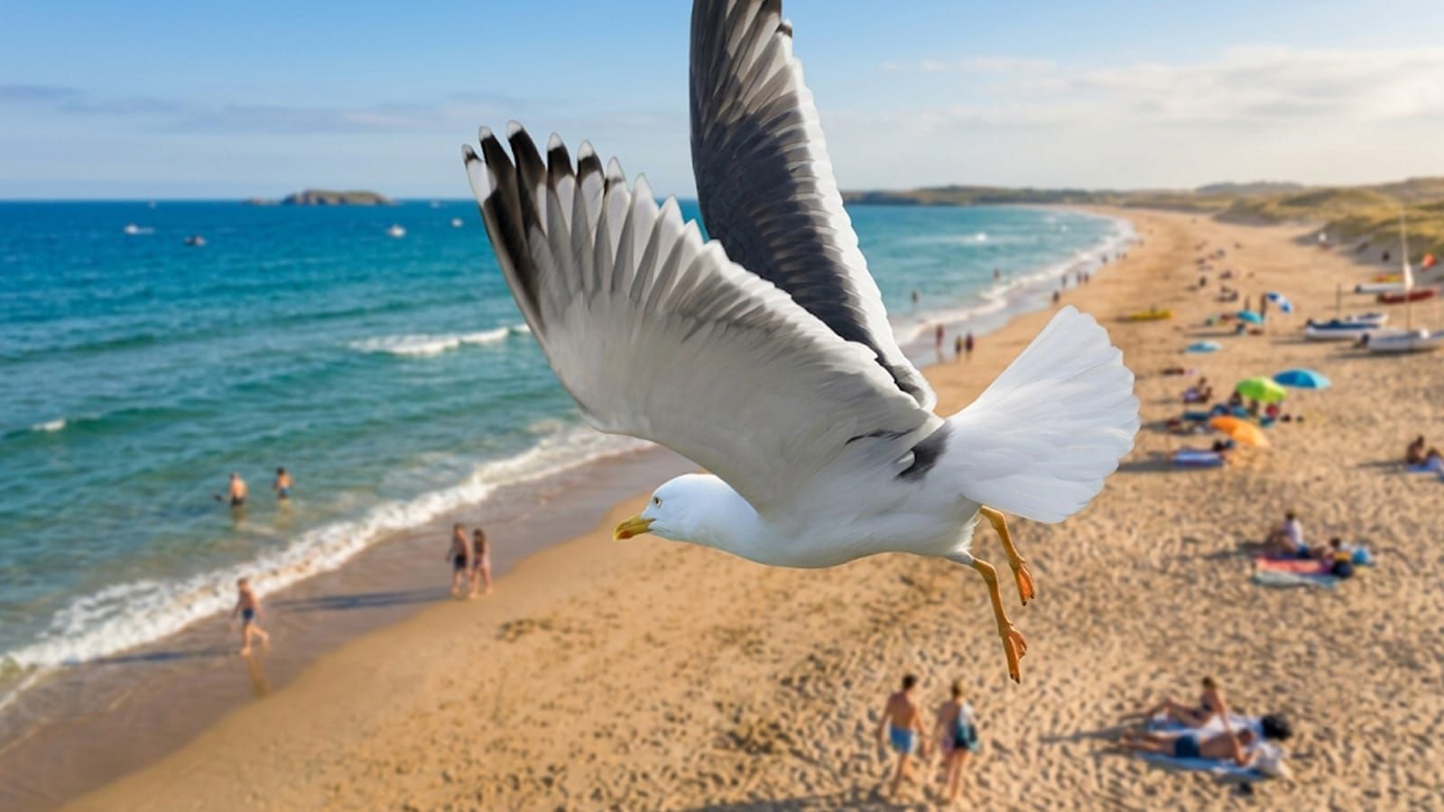 Australia's bird flu outbreak has doubled in days and is now moving inland to our farms