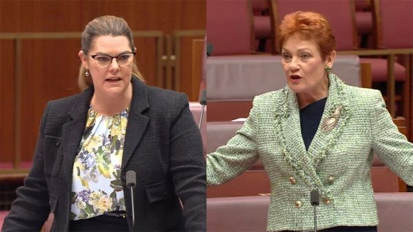 Greens accuse One Nation of foreign interference with no proof, Hanson demands a withdrawal