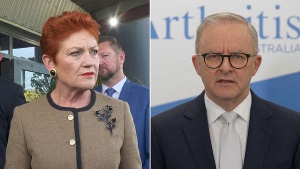 "Did she, though?": Albanese doubts One Nation's $2m as Hanson says Labor raised just $20,000
