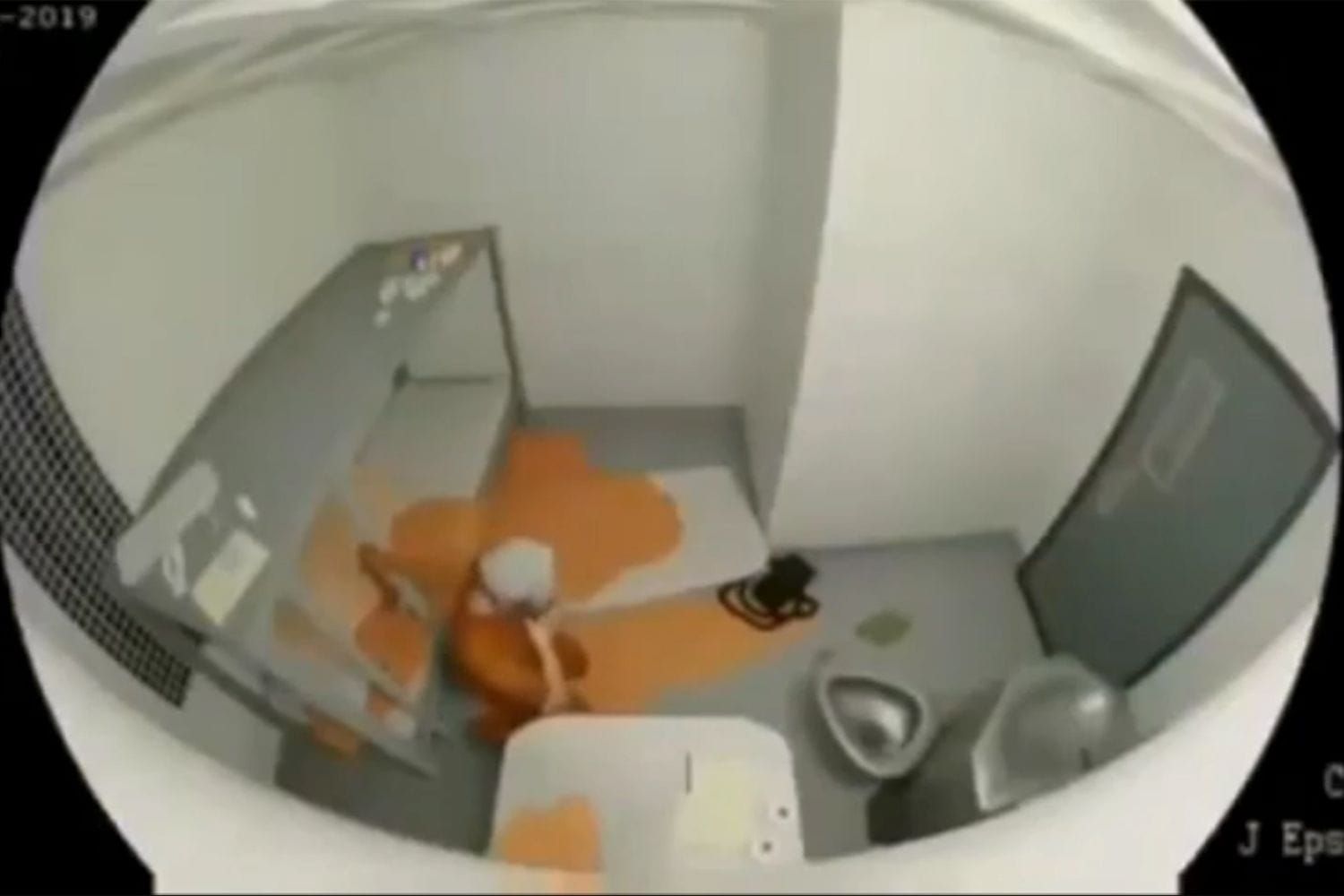Is Epstein Alive?