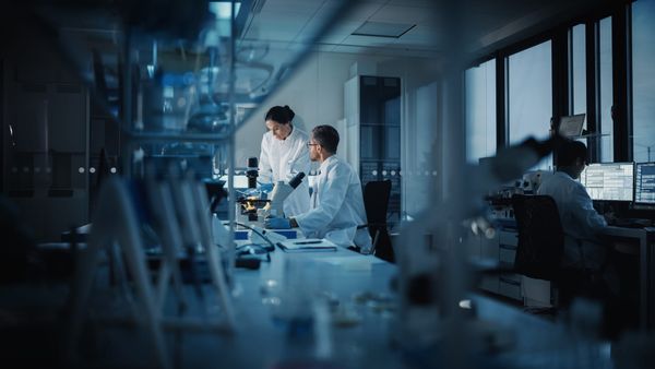 Two scientists talk over a microscope while another works at a computer.