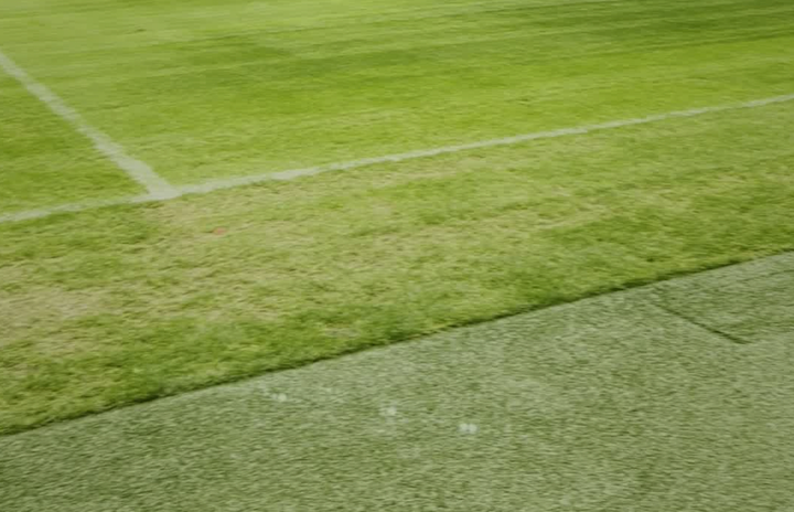 7 NFL Stadiums Install Grass for World Cup: NFL Too Cheap to do so for Their Players