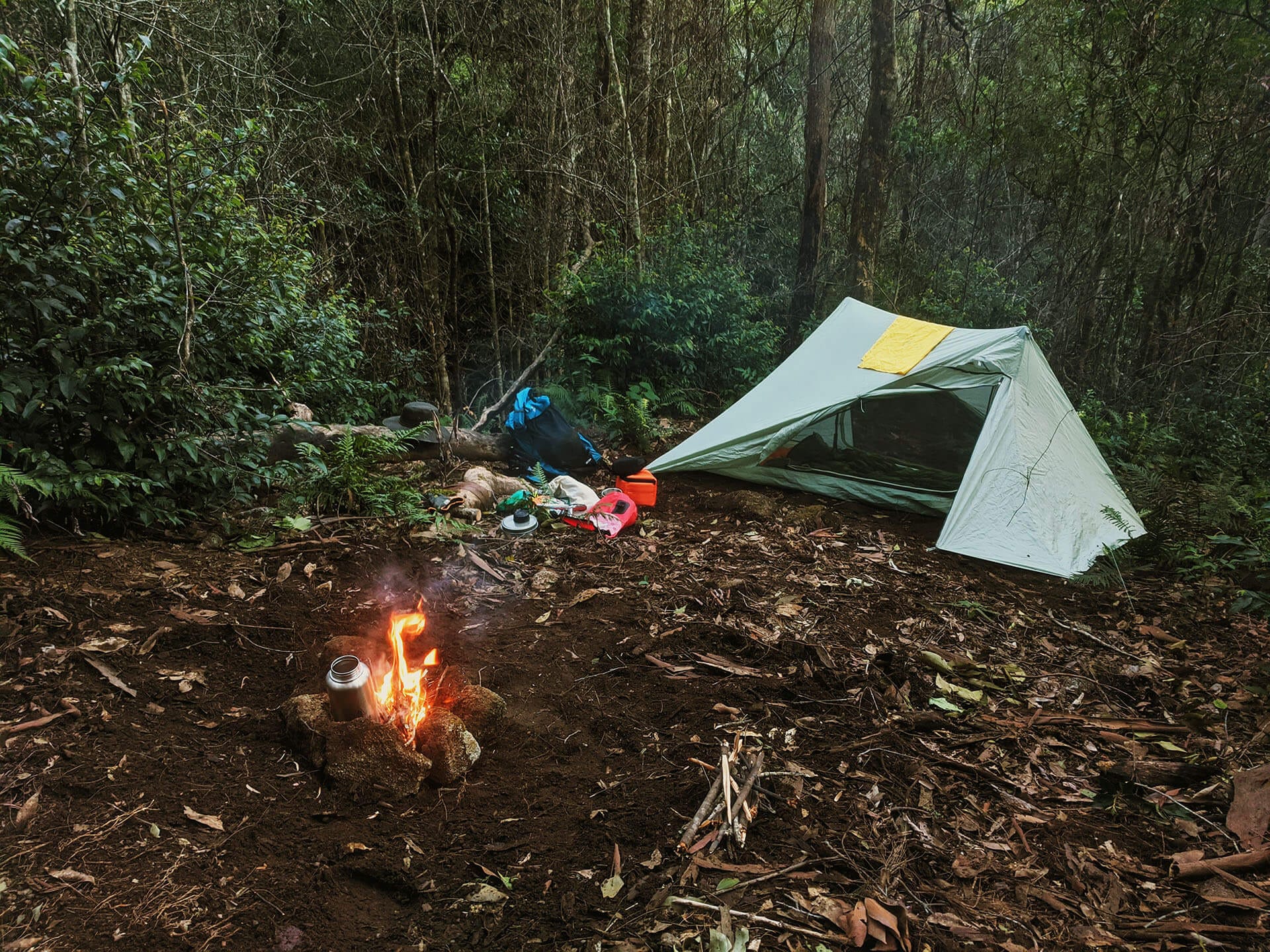 Wild bush camp with small cooking fire in thick Australian bushland