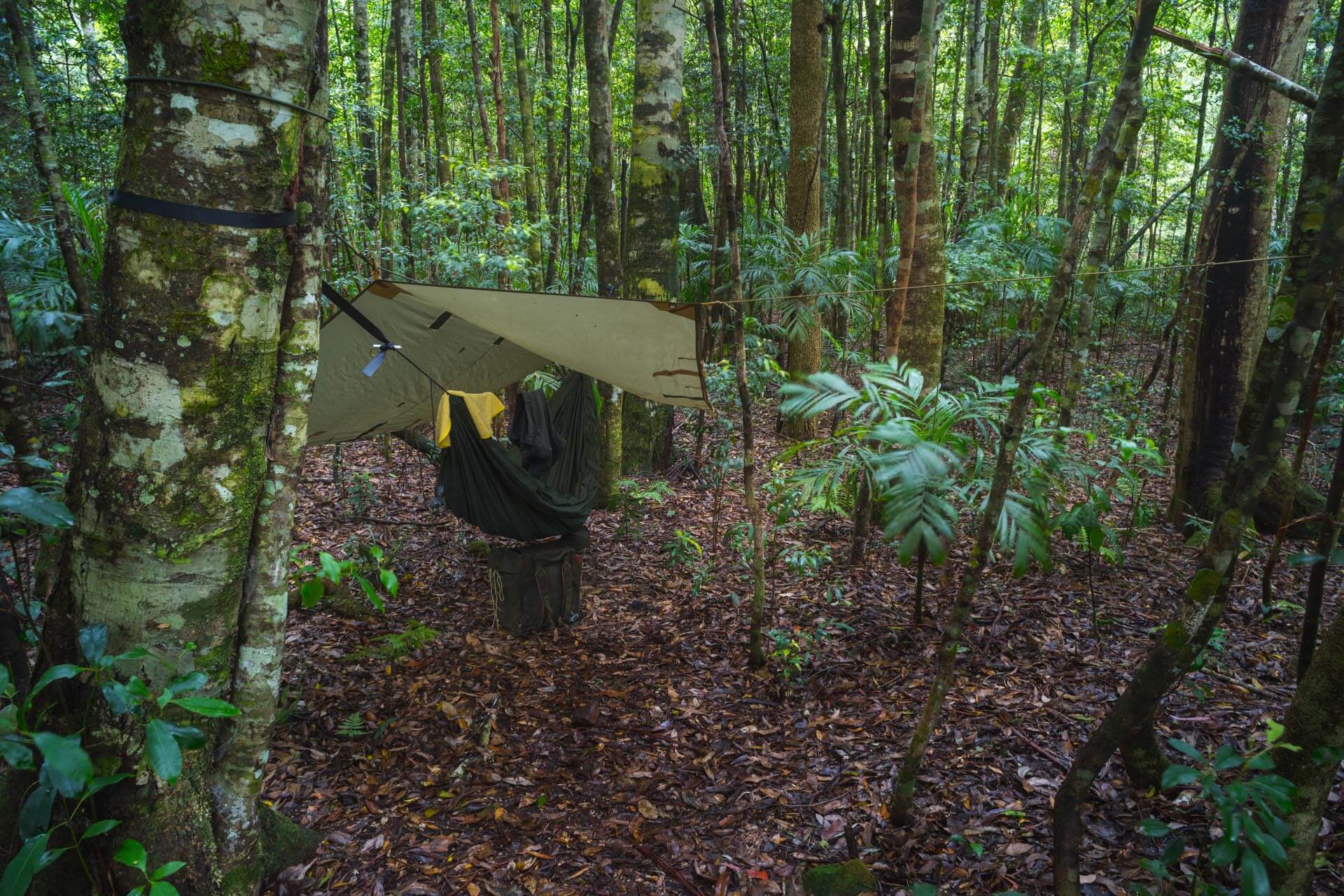 Hammock camping in Australian bush