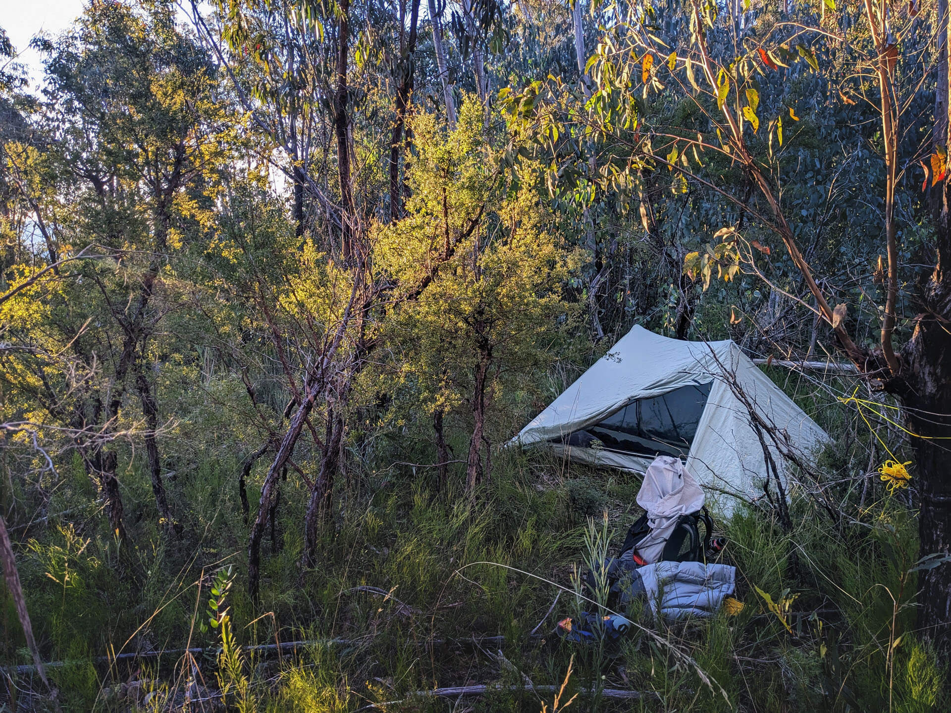 Wild bush camp setup with a tent – off-trail