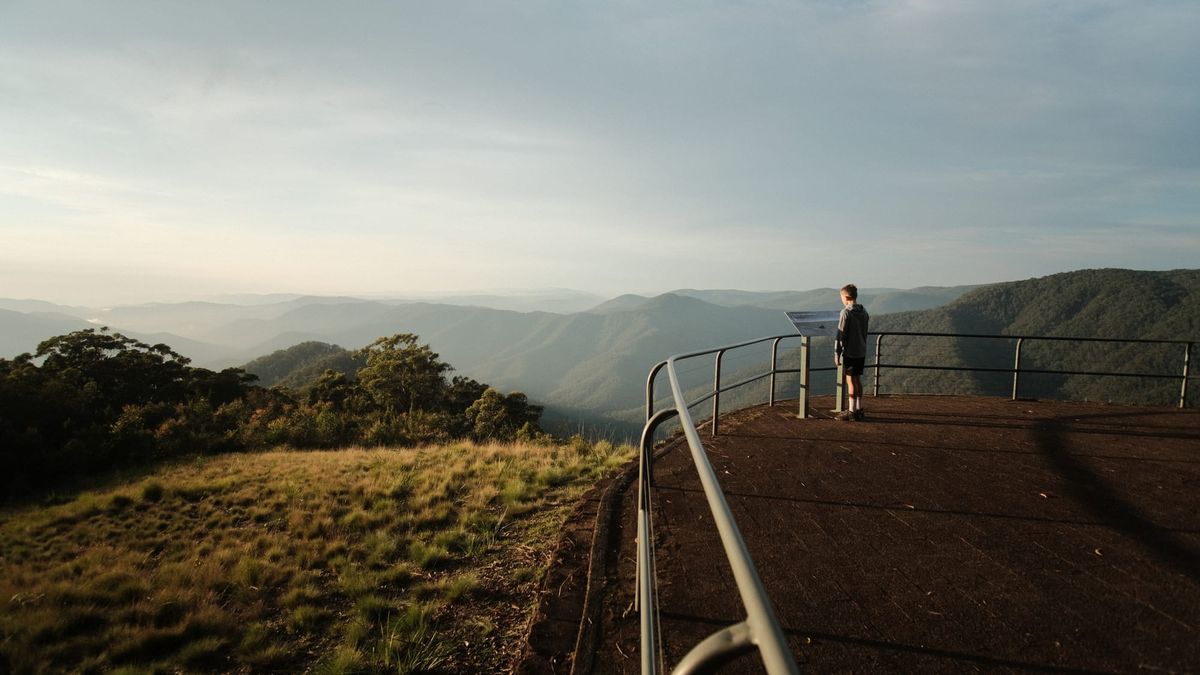 Planting a wilderness in the boy