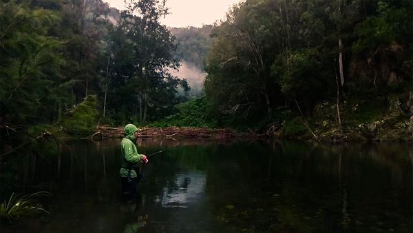 Jeremy wade fishing in remote river for Australian bass