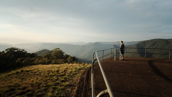 Planting a wilderness in the boy