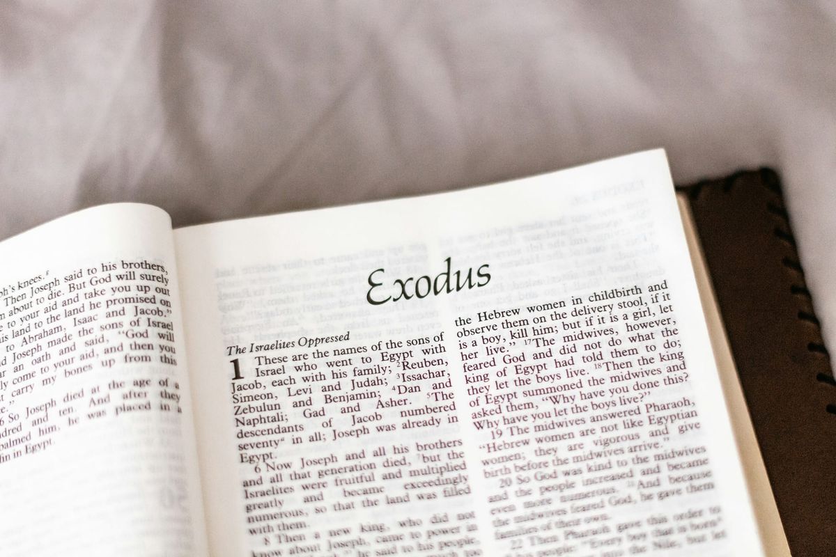 The Insurance Exodus Opportunity
