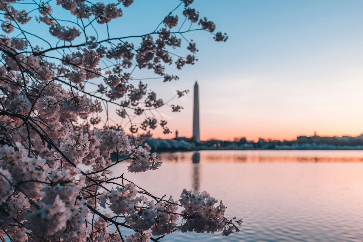 The DC Price Collapse Nobody Saw Coming
