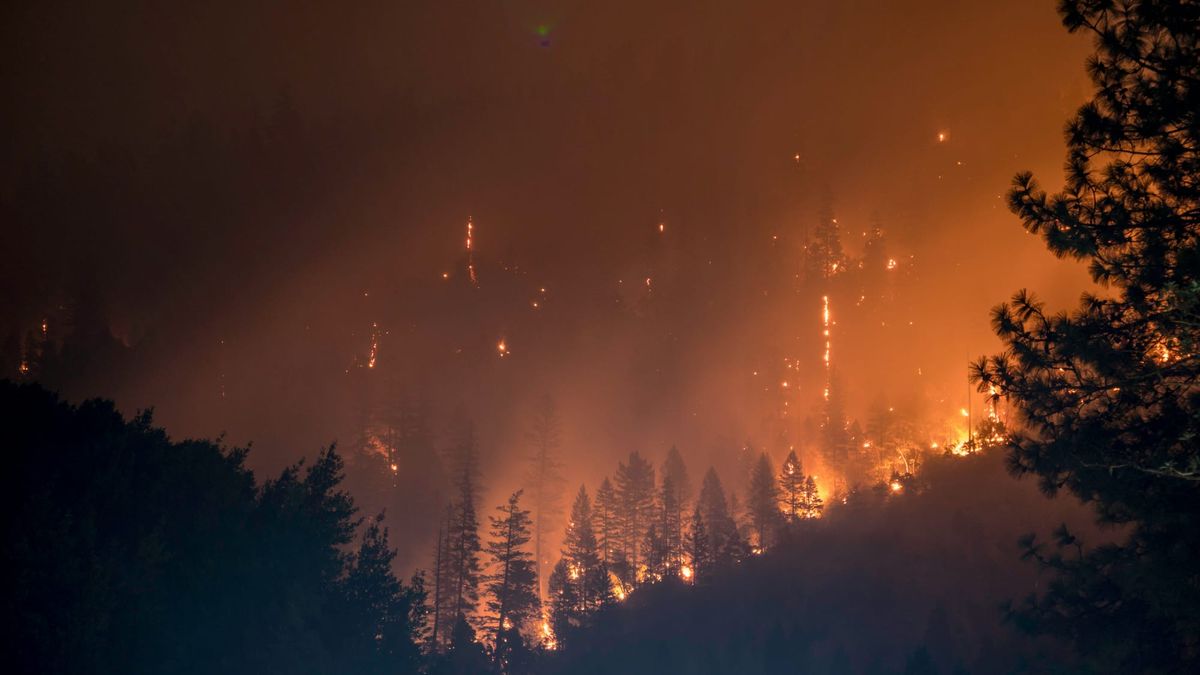 The $8.3 Billion LA Fire Value Wipeout Creating Lot Arbitrage