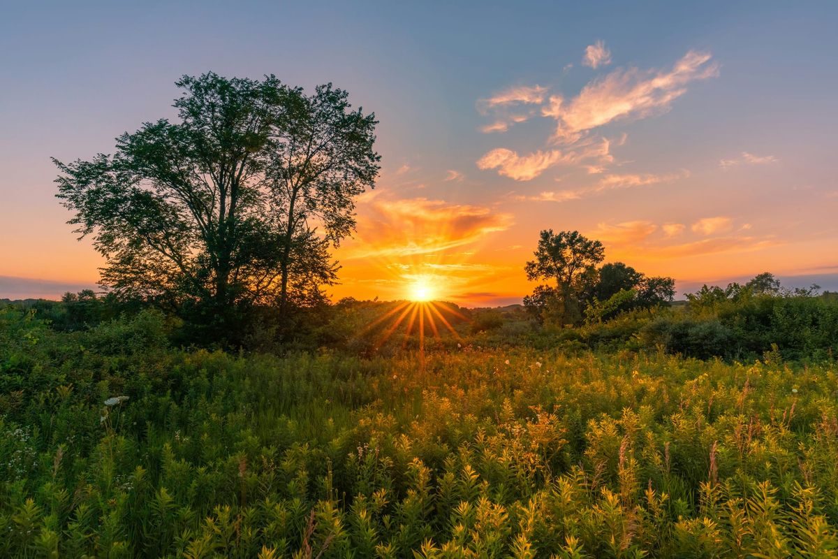 Midwest Real Estate Surge