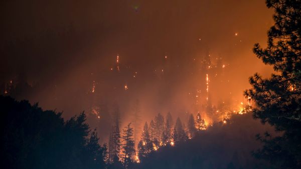 The $8.3 Billion LA Fire Value Wipeout Creating Lot Arbitrage