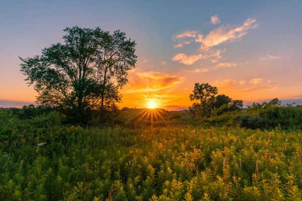 Midwest Real Estate Surge