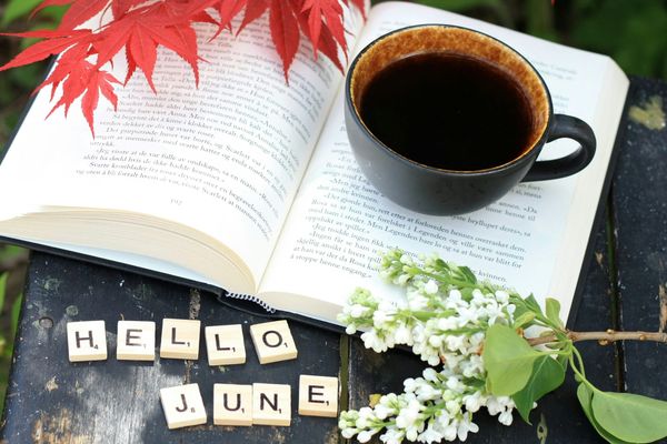 Fannie Mae Crushes Rate Hopes — June Forecast Abandons 5.7% Target, Predicts 6.3-6.5% Through Year-End