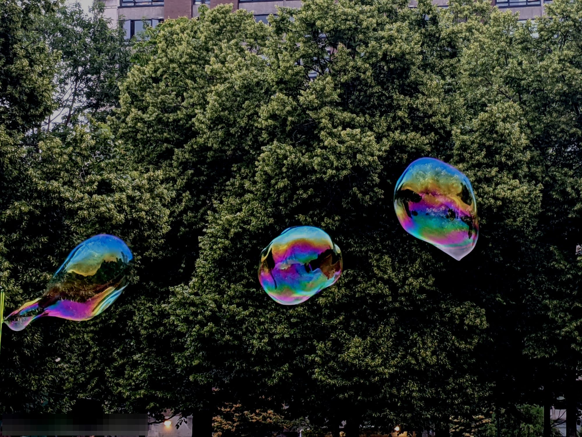 kolam creative collective