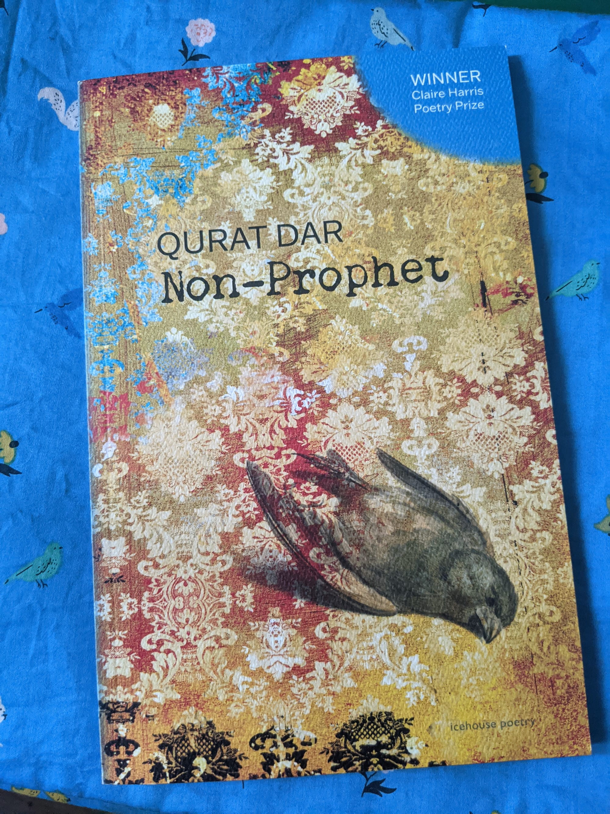 Print copy of Qurat Dar's Non-Prophet poetry collection featuring  intricate gold tiles with blue and red tints and a grey shades crow on the front cover, released this week, Icehouse Poetry, photo by Kadir