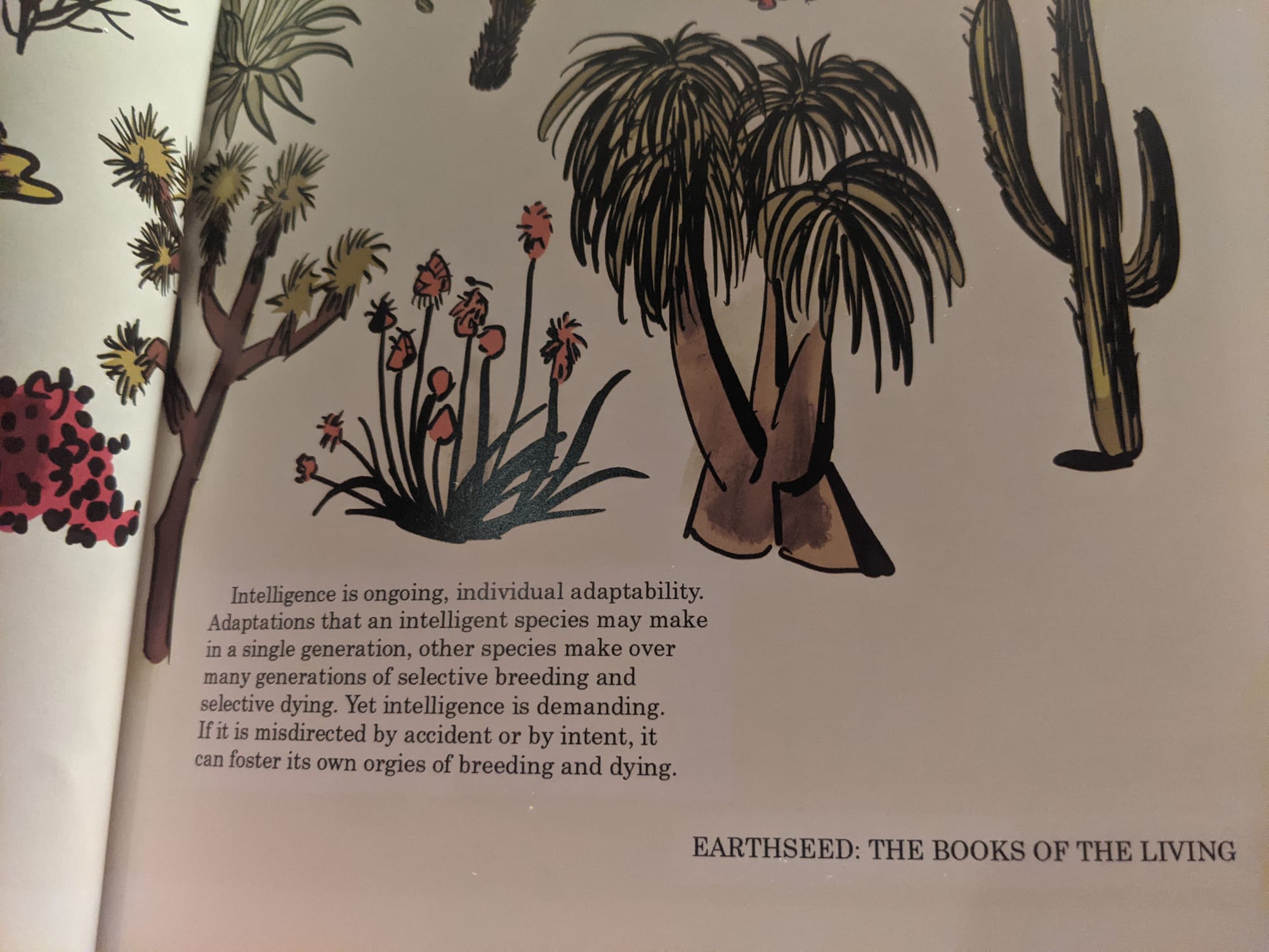 Cacti, succulents, palms and text below from Lauren Olamina's Earthseed: The Books of the Living snapshots from Octavia E. Butler's Parable of the Sower, Graphic Novel Adaptation by Damian Duffy and John Jennings