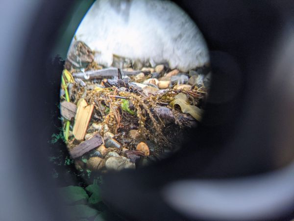 zoomed in oval snapshot of foamy wave crashing against ch'alitch coastline, a greenish band of lens reflection to the left, against grey black backdrop from inside of binoculars' barrel, phot