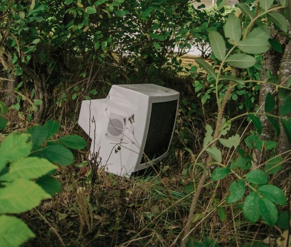 A while CRT display monitor on the ground surrounded by green shrubs.
