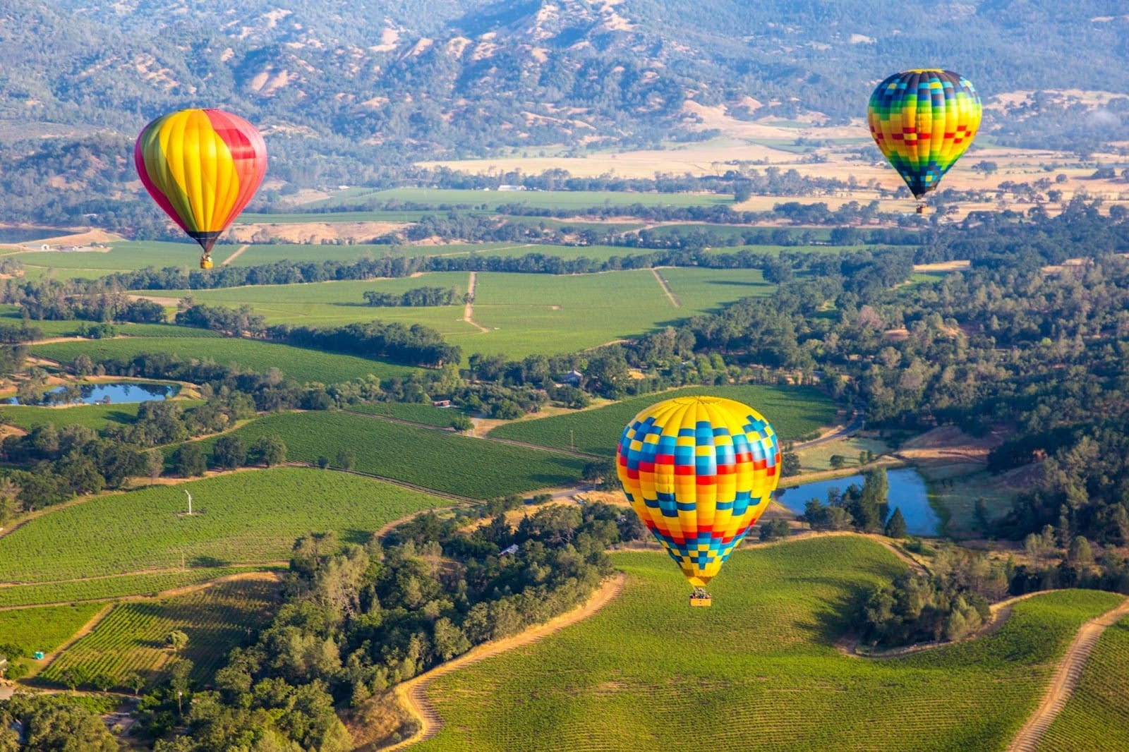 Experience the verdant scenery of Napa Valley as you take on the clouds on a hot air balloon ride.